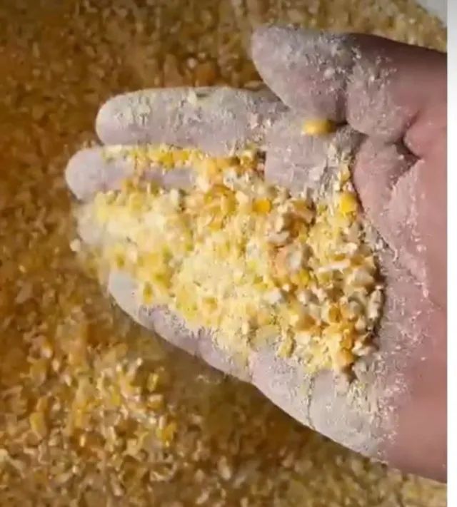 Venda de Milho em Grãos e Demais produtos Agricolas Direto da Fazenda-Dispensamos Curiosos - Foto 6