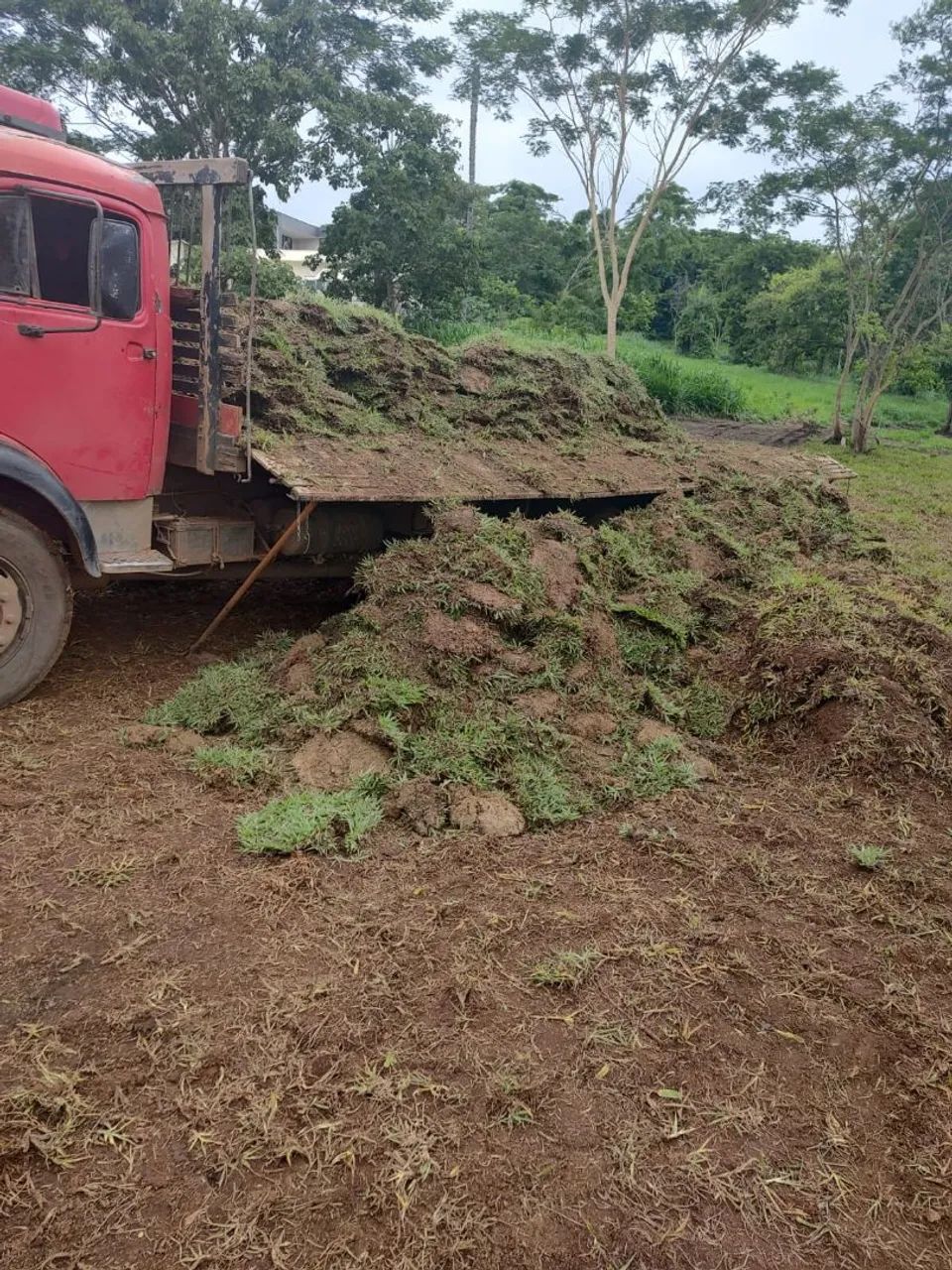 Império Grass! Gramas De Qualidade 