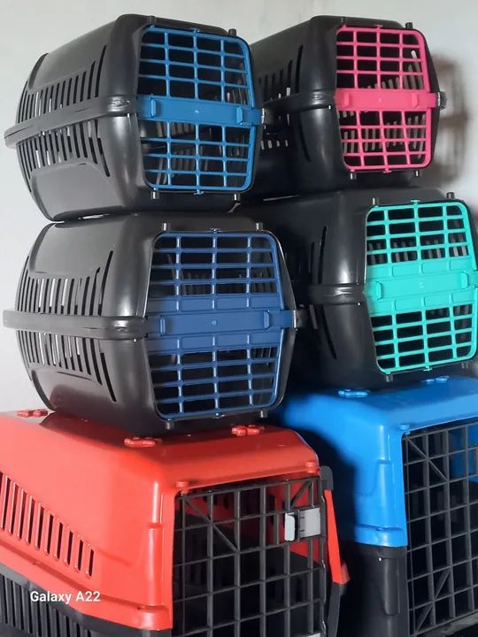Casinha para transporte pet
