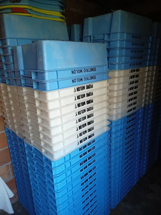 Caixa Plásticas
