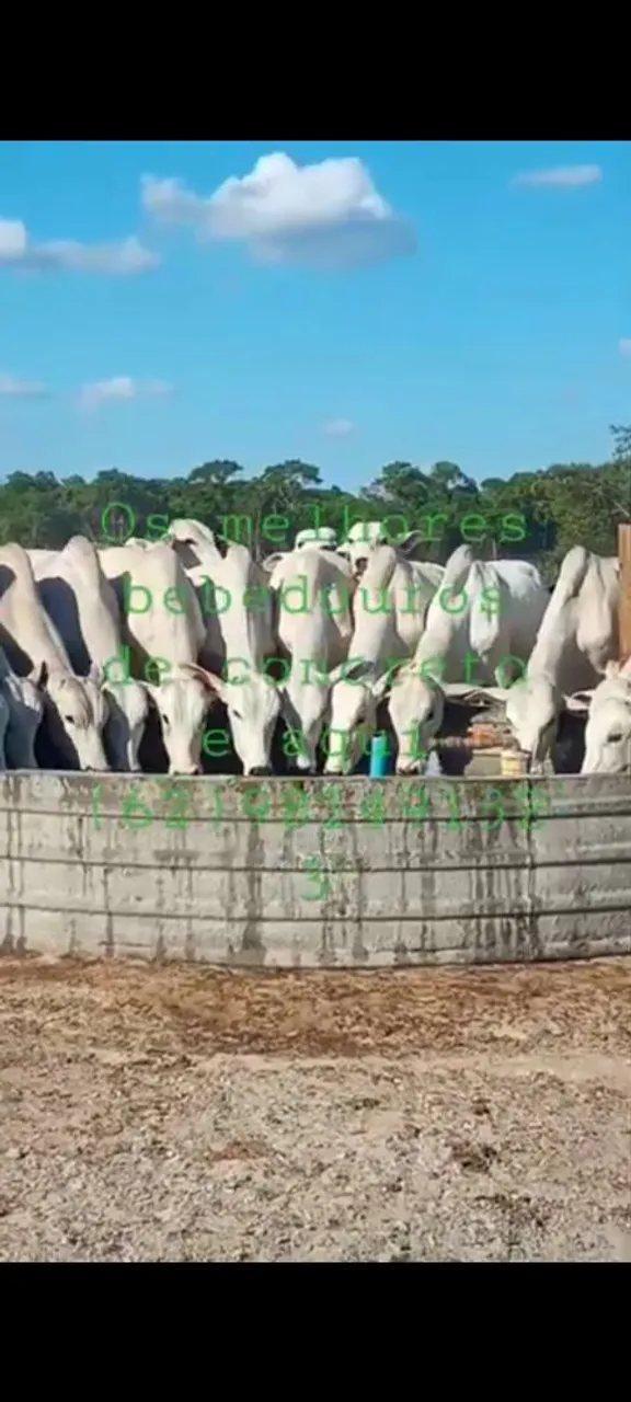 Montador de reservatório em geral e bebedouro para animais