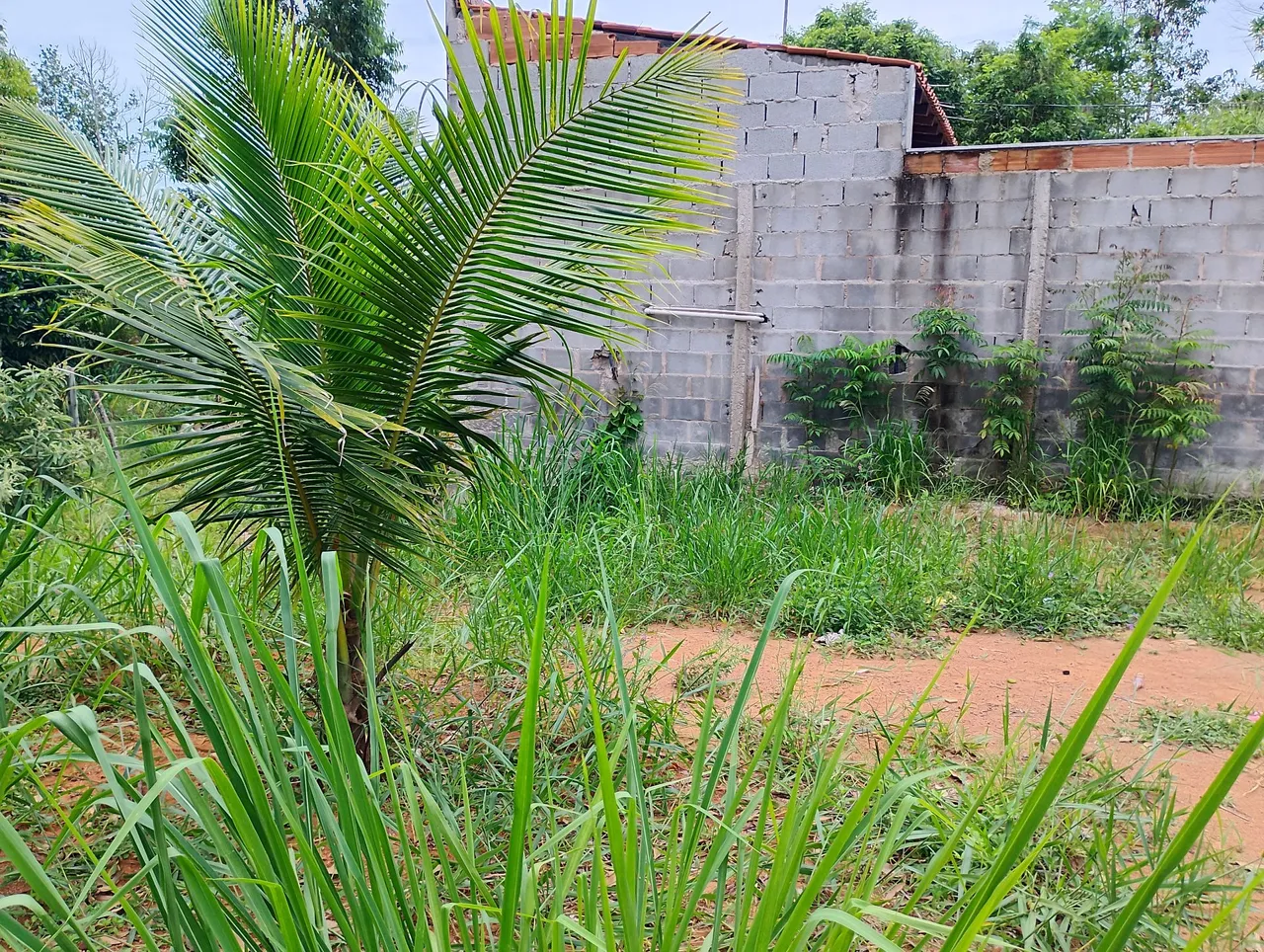 Terreno 300mt²