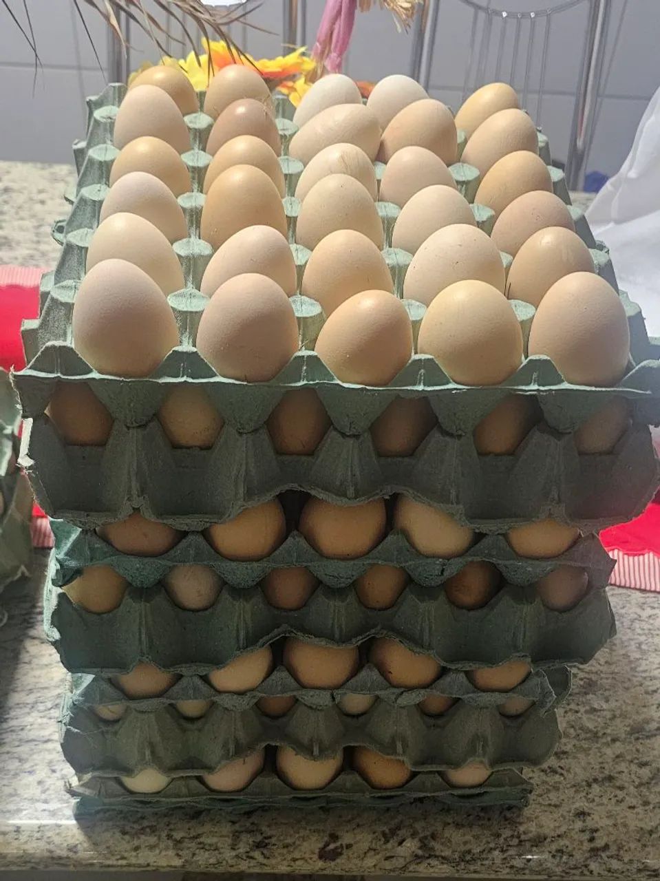 Ovos frescos de galinha caipira