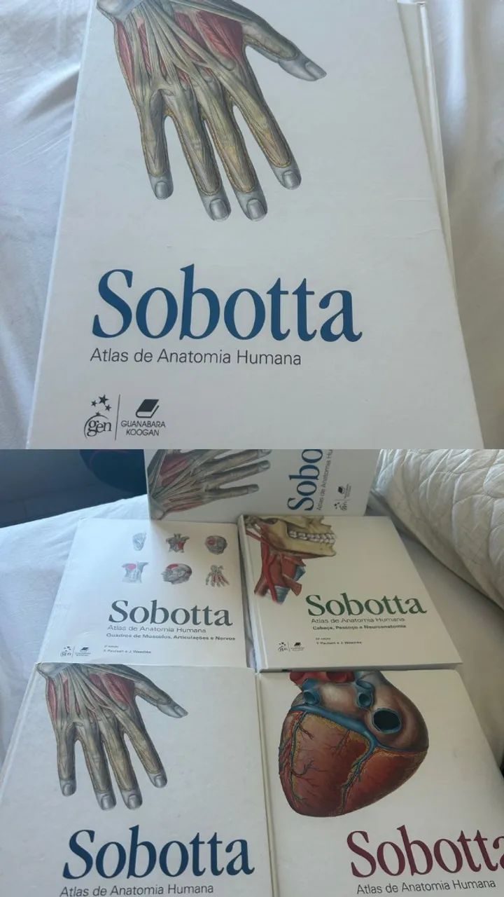 (Livro) Atlas de anatomia humana | Sobotta 23 edição