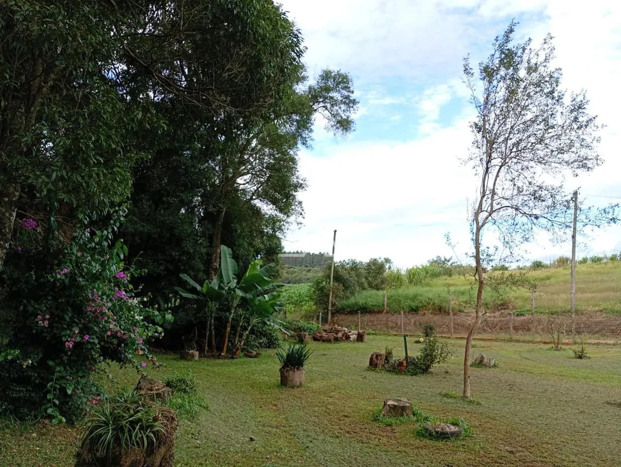 CHACARA EM ERNESTINA - Foto 3