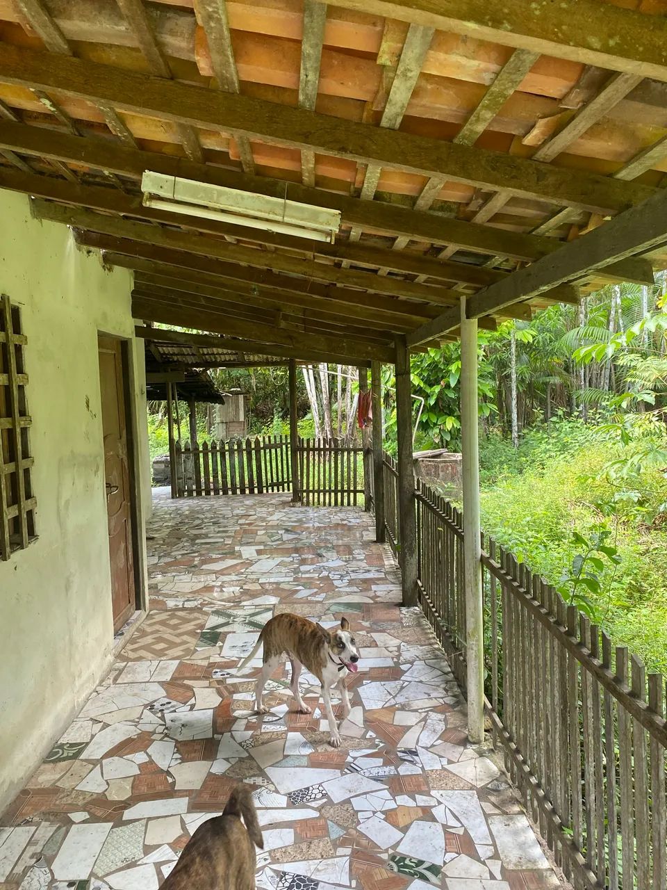 Vendo este terreno  - Foto 5