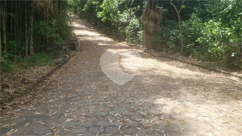 Terreno à venda em Palmeiras - SP - Foto 5