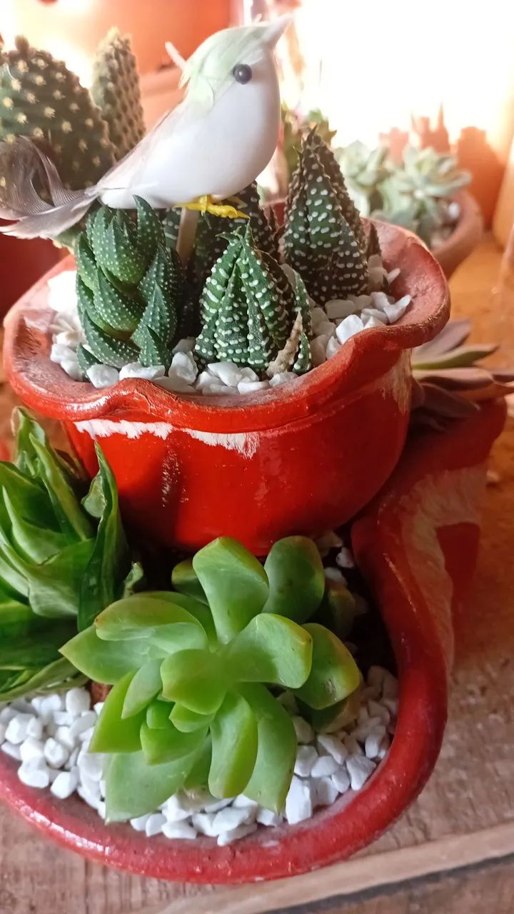 Jardinagem  - Foto 4