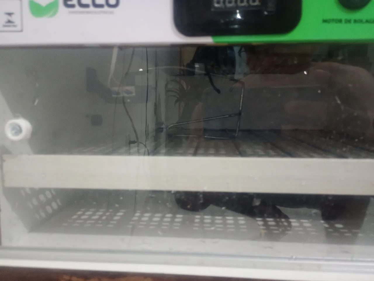 Chocadeira eclo - Foto 4