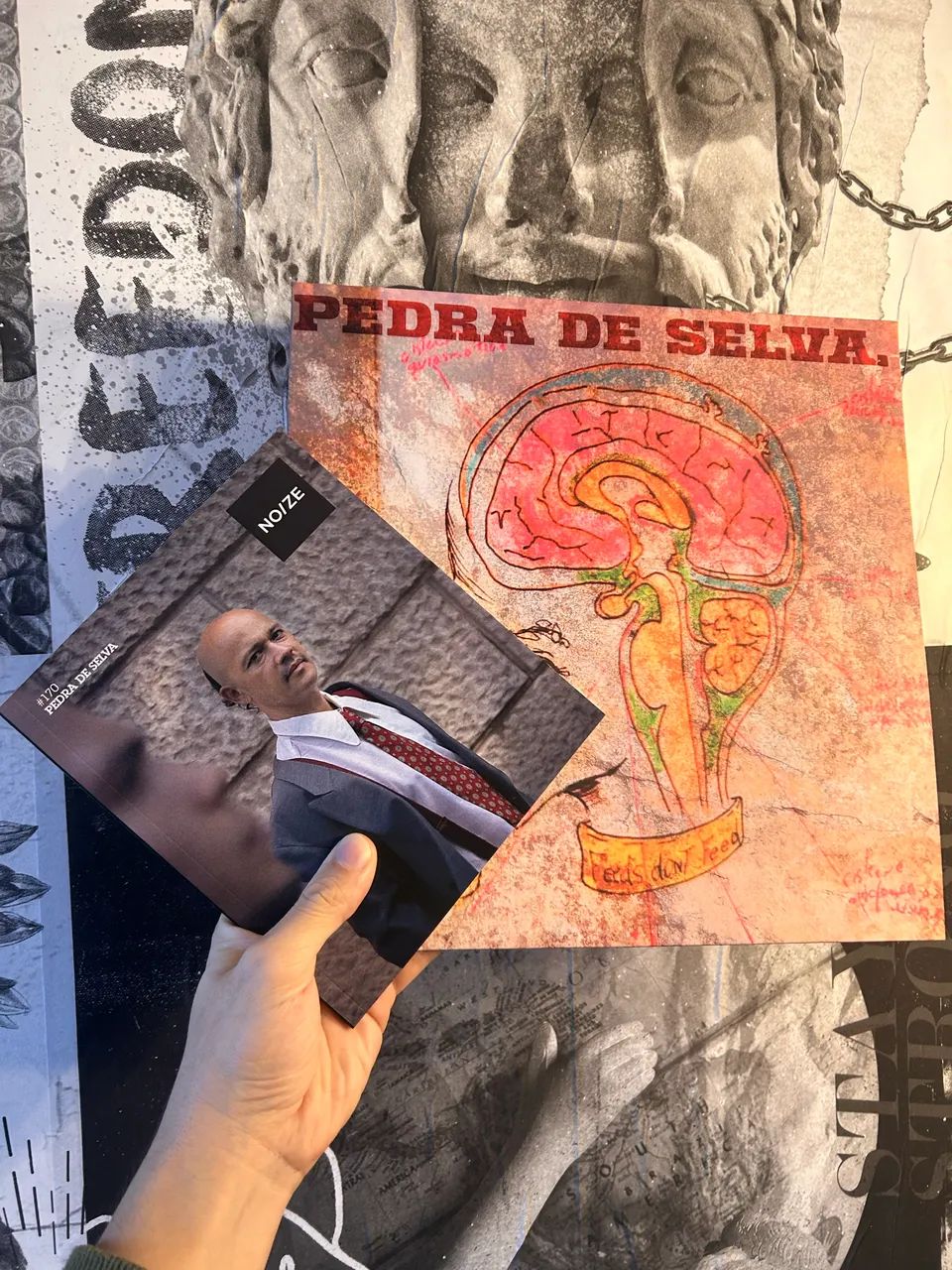 Vinil Pedra de Selva (Curumin)