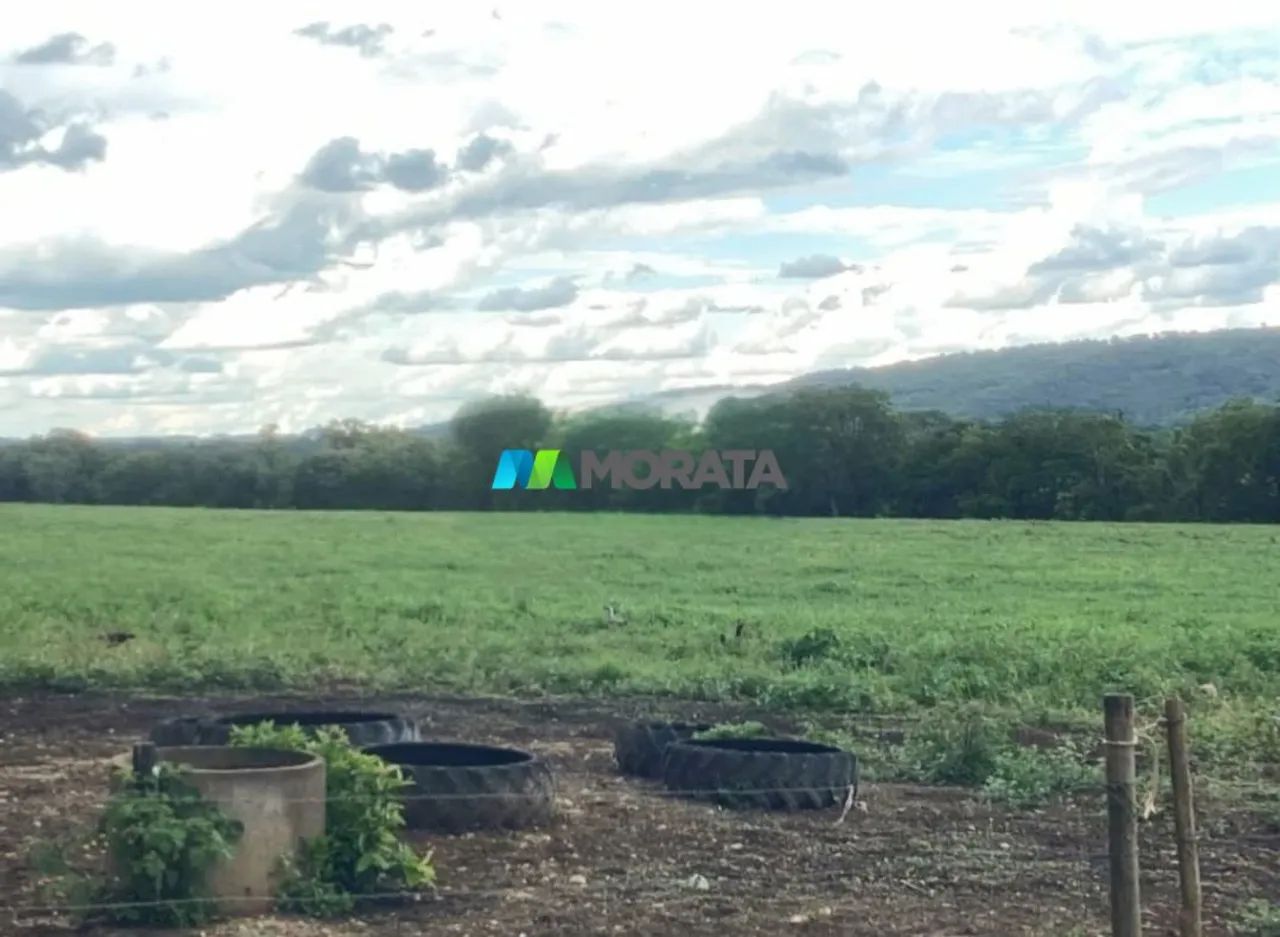 FAZENDA À VENDA - 37 HECTARES - PITANGUI (MG) - Foto 5