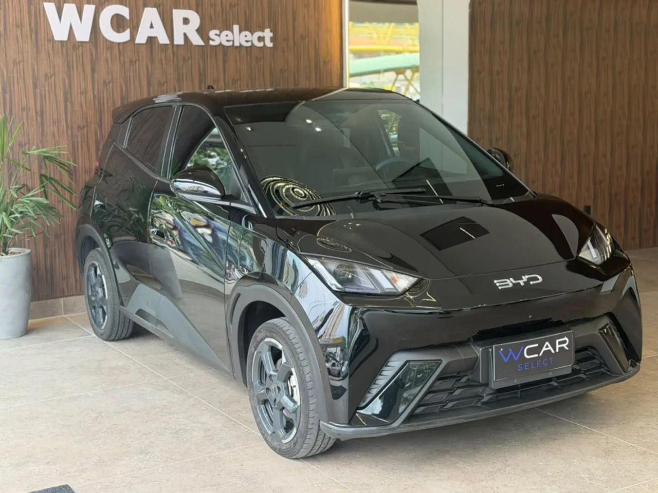 BYD Dolphin Mini (Elétrico) 2025 - Foto 3