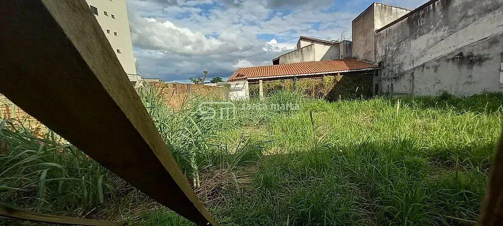 TERRENO MURADO NA VILA ZÉLIA | LORENA - SP - Foto 2