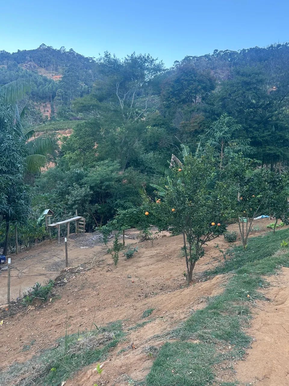 Vendo chácara em santa Teresa Es  - Foto 3