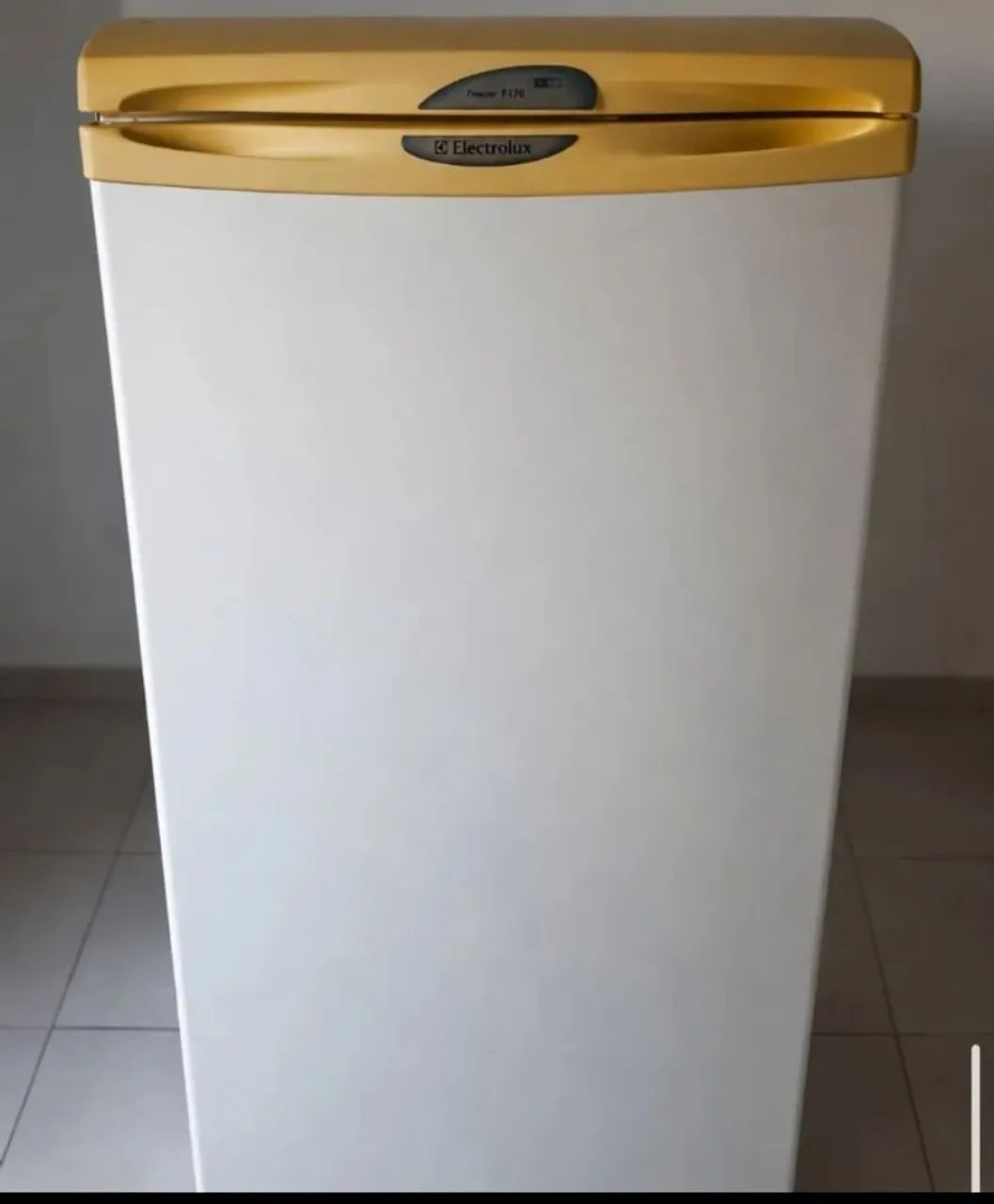 Freezer Eletrolux F1