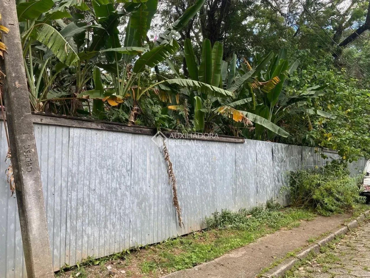 Terreno a Venda no bairro Córrego Grande - Foto 4