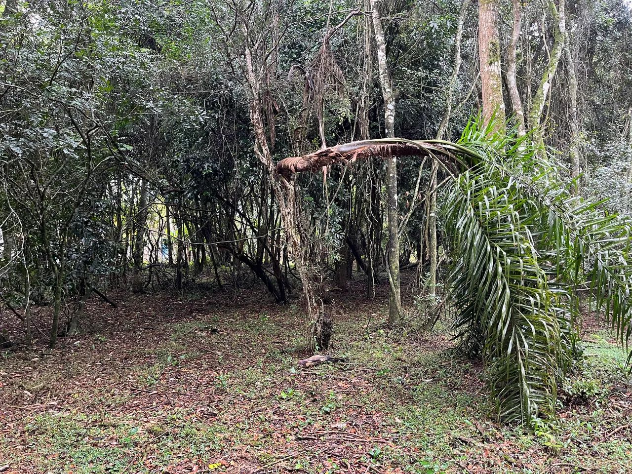 Terreno com rio - Foto 3