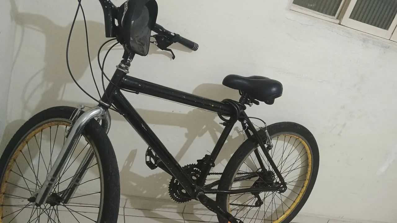 Bike camelin 