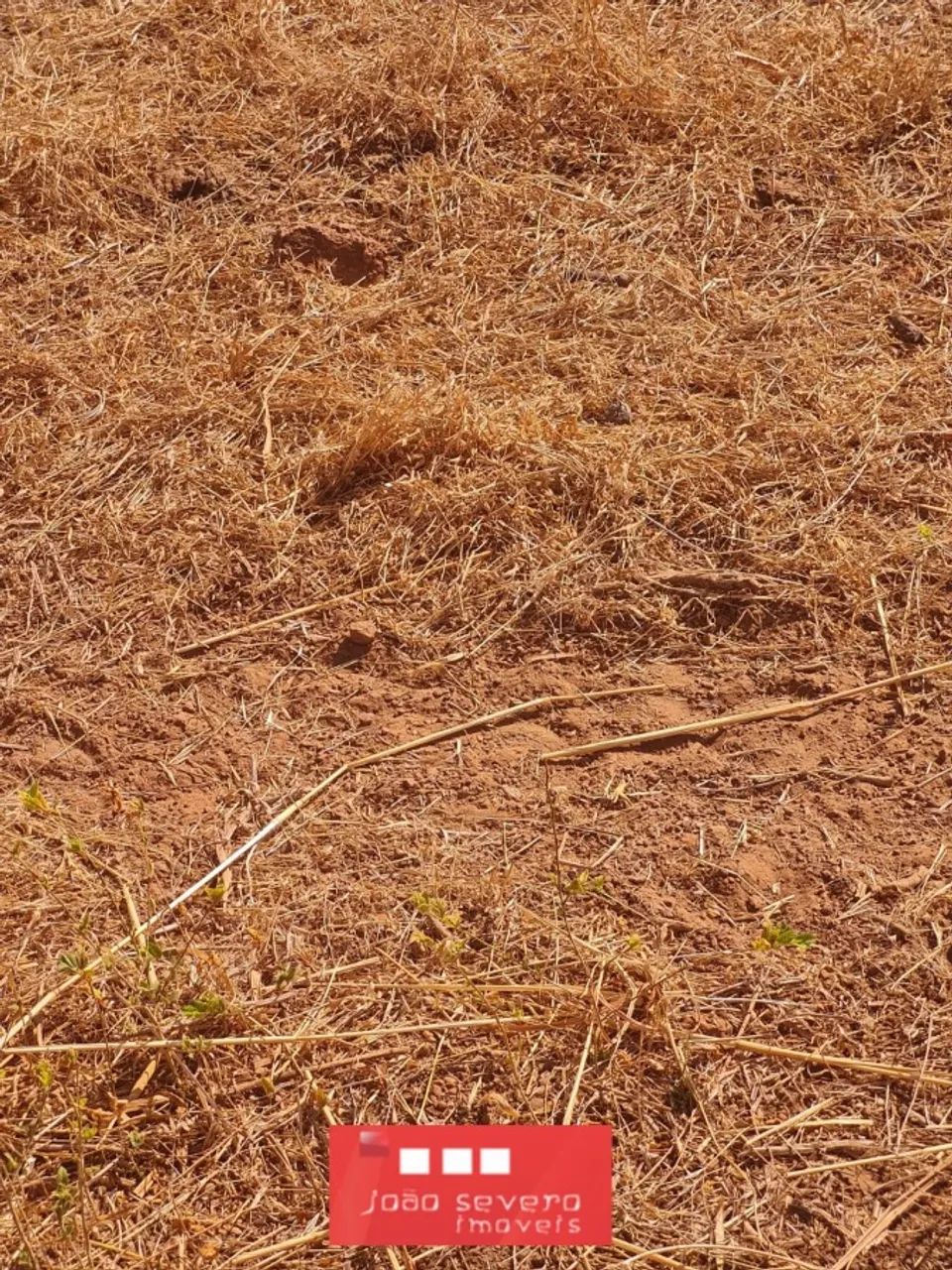 Fazenda para Venda em Nova Crixás - Foto 3