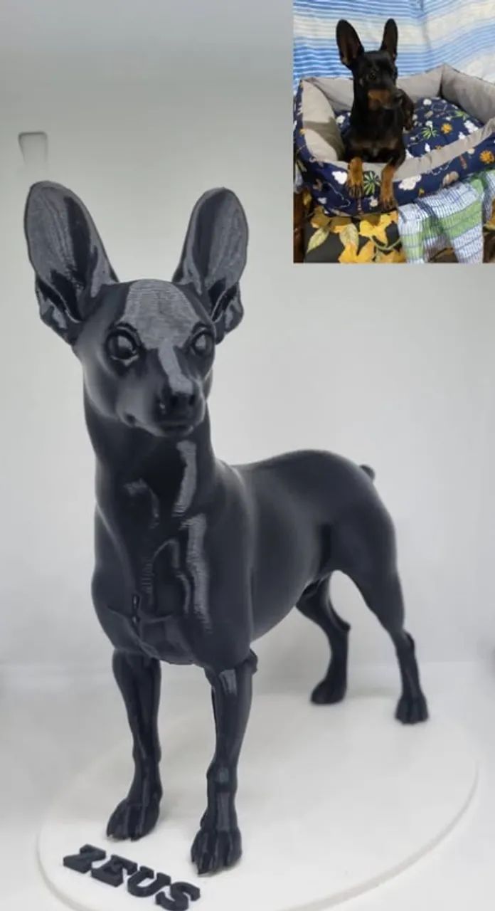 Seu cachorro em 3D