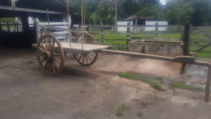 Carroção para Bois