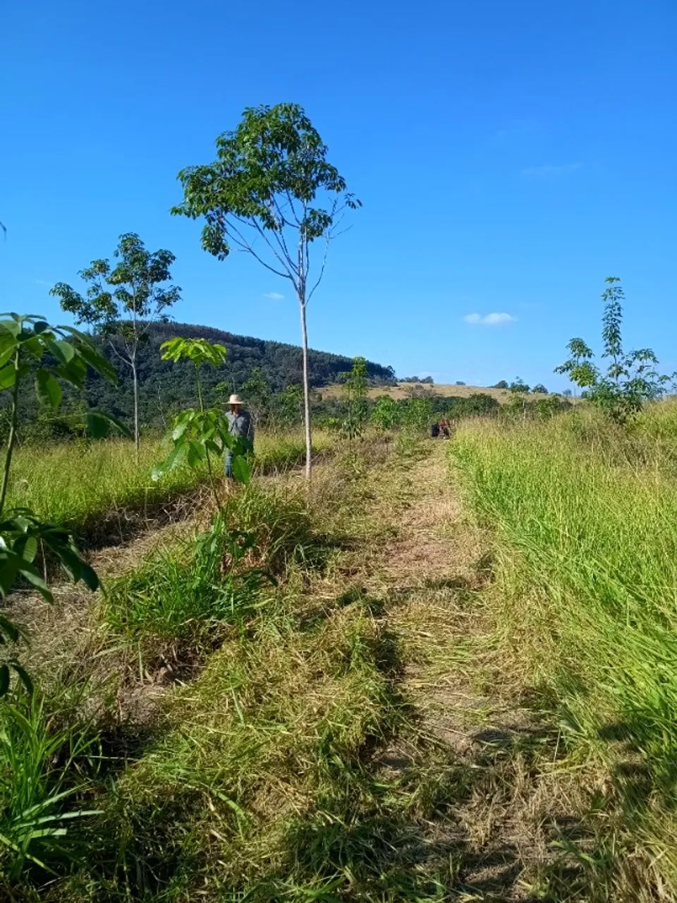 Vende se  um sítio em Porangaba sp - Foto 3