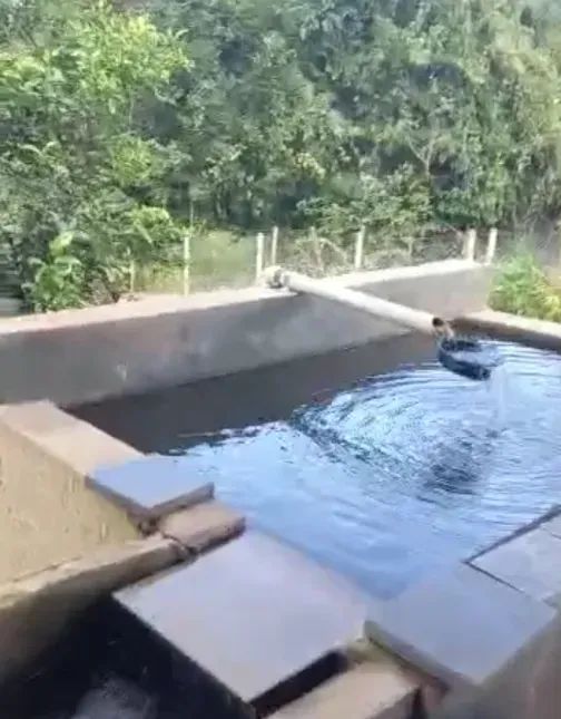 Vende-se uma excelente chácara de 6 alqueires - Foto 5