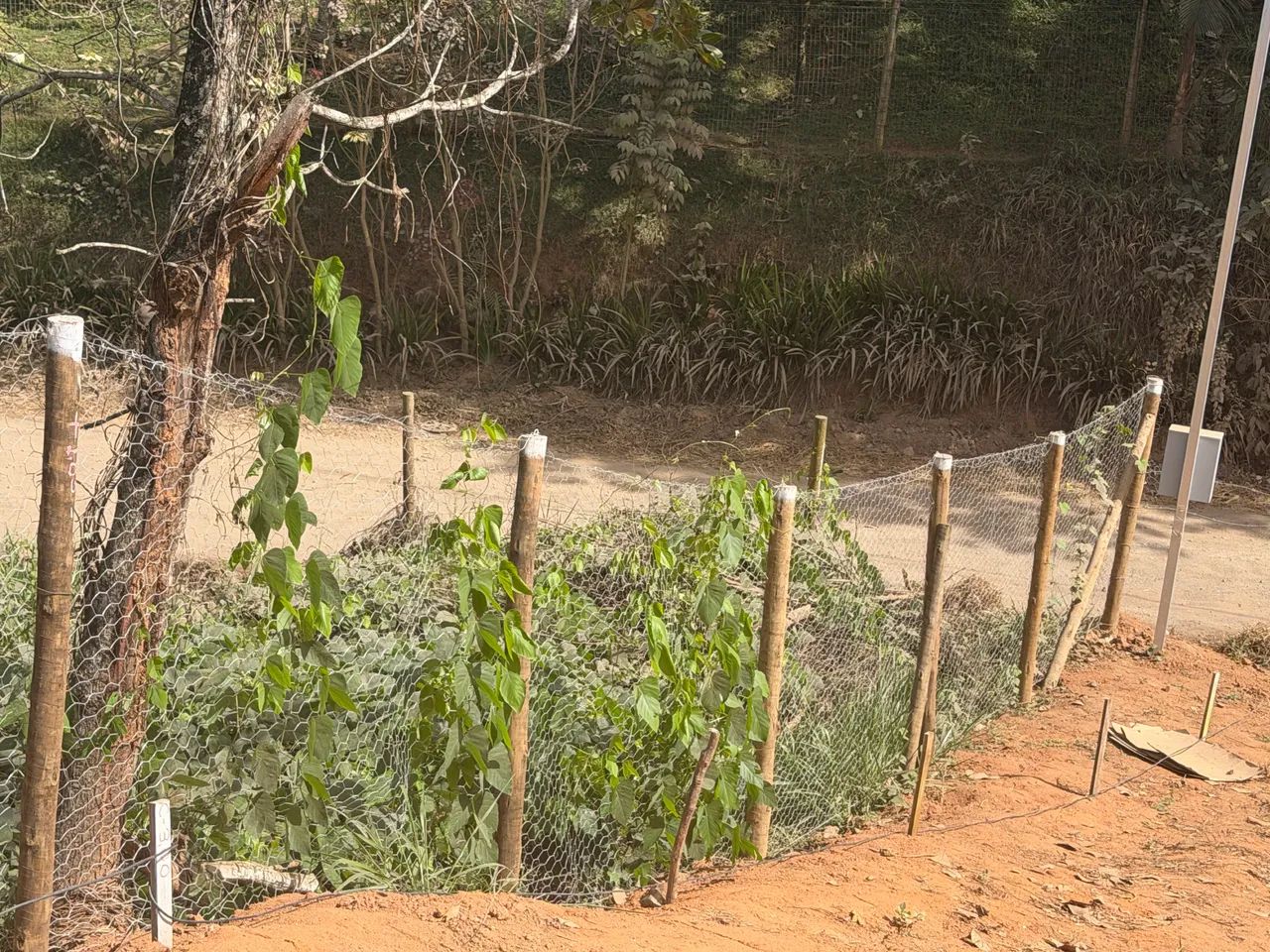 Vende-se terreno no Ipaneminha  - Foto 3
