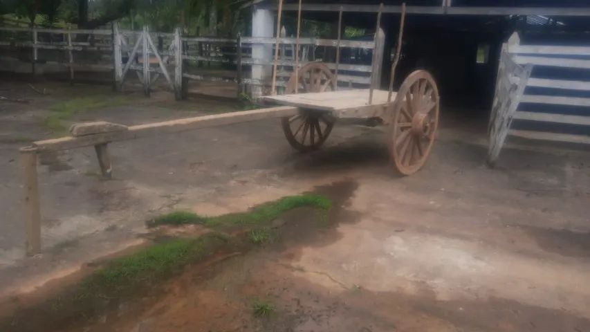 Carroção para Bois - Foto 3