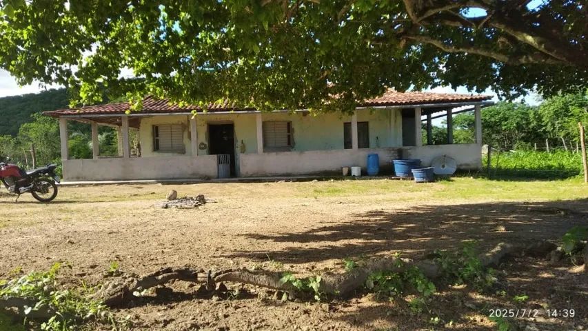 Terreno, Sítio - Foto 5