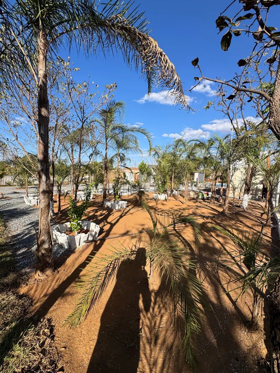 Chácara com casa piscina em Bonfinópolis  - Foto 5