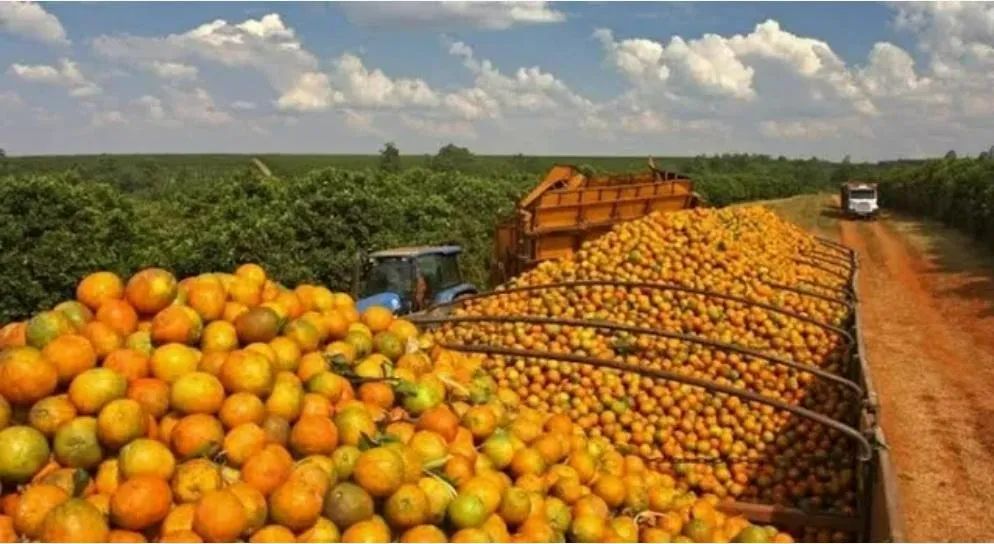 Fazenda à Venda  Santa Rita do Passa Quatro/SP - Foto 5