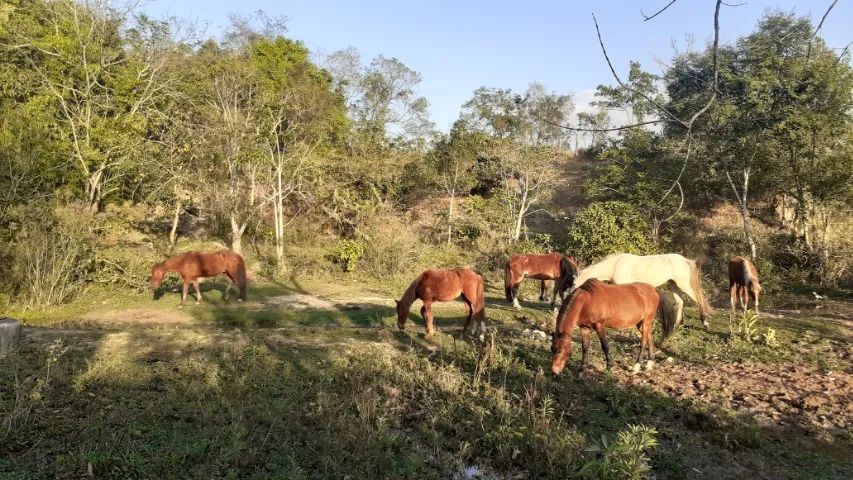 Chácara com 1.560 m²