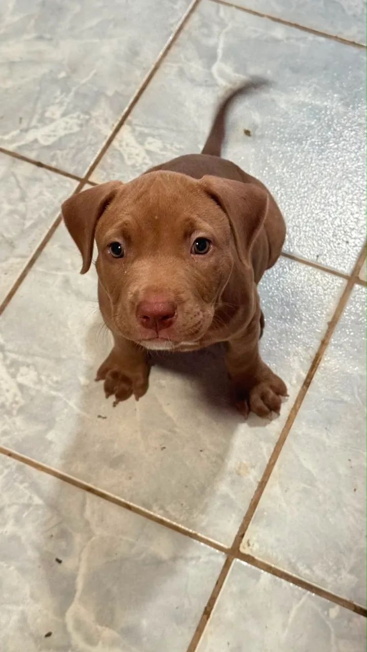 Pit monster