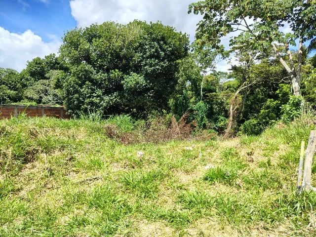 Terreno 570 m2 - Foto 4