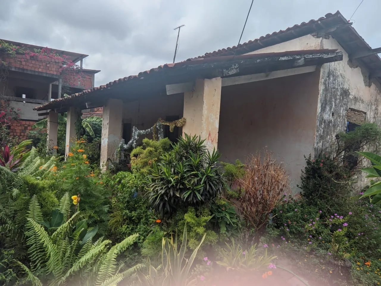 Terreno para Venda em Caucaia, Jandaiguaba - Foto 4