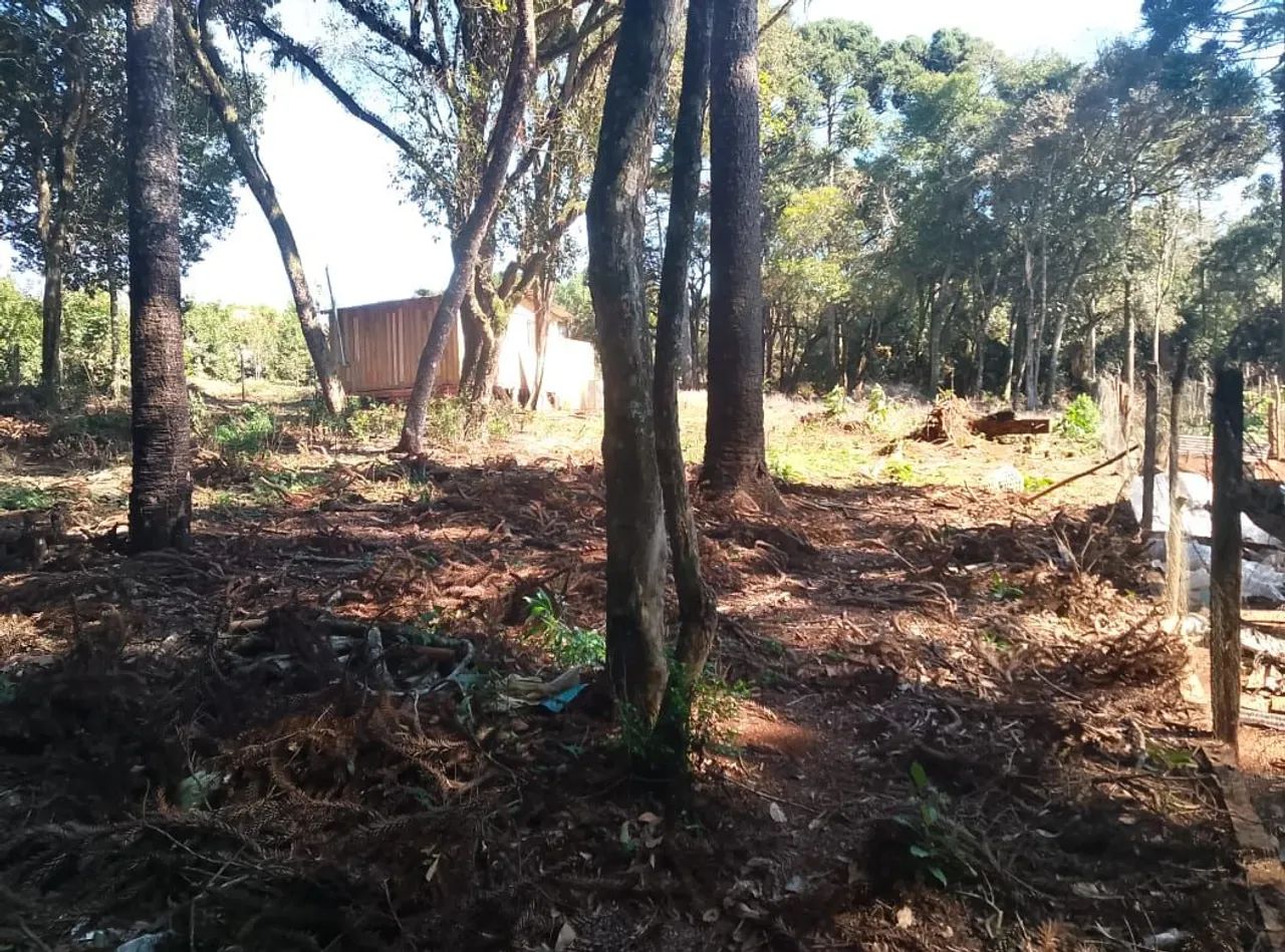 Terreno de esquina  - Foto 5