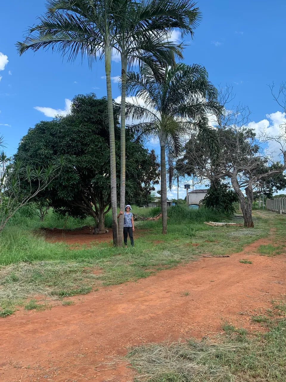 Vendo rancho no Corumbá 4