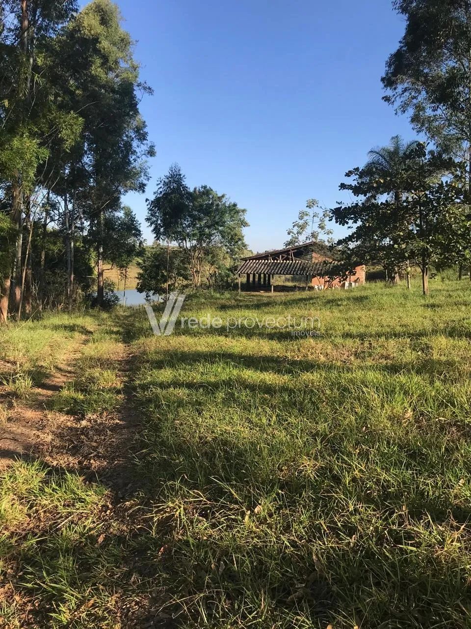 Fazenda em Eleutério - Foto 5