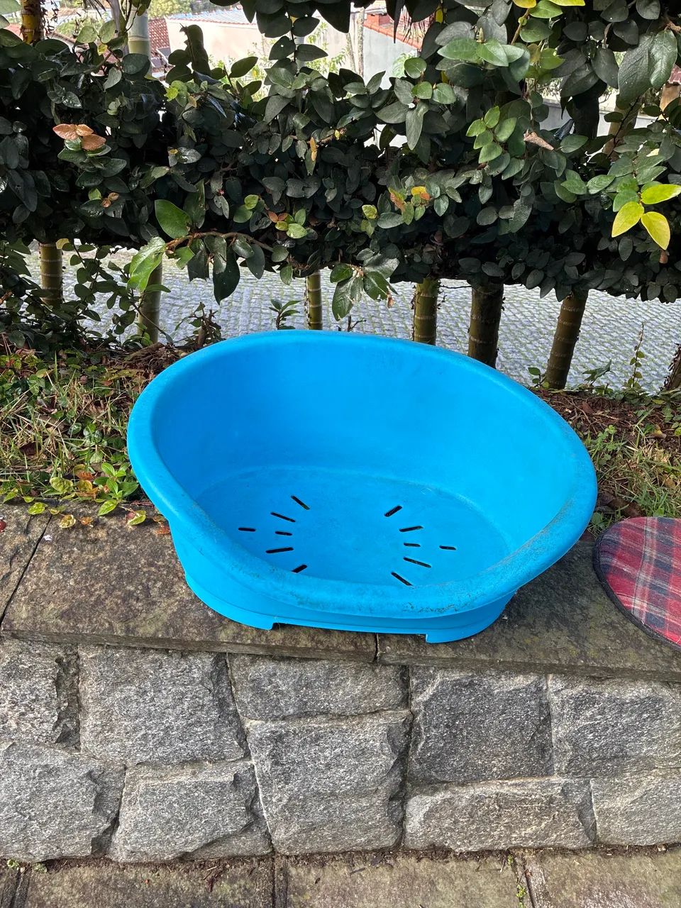 Cama Plástica com Almofada para Cachorro  - Foto 2