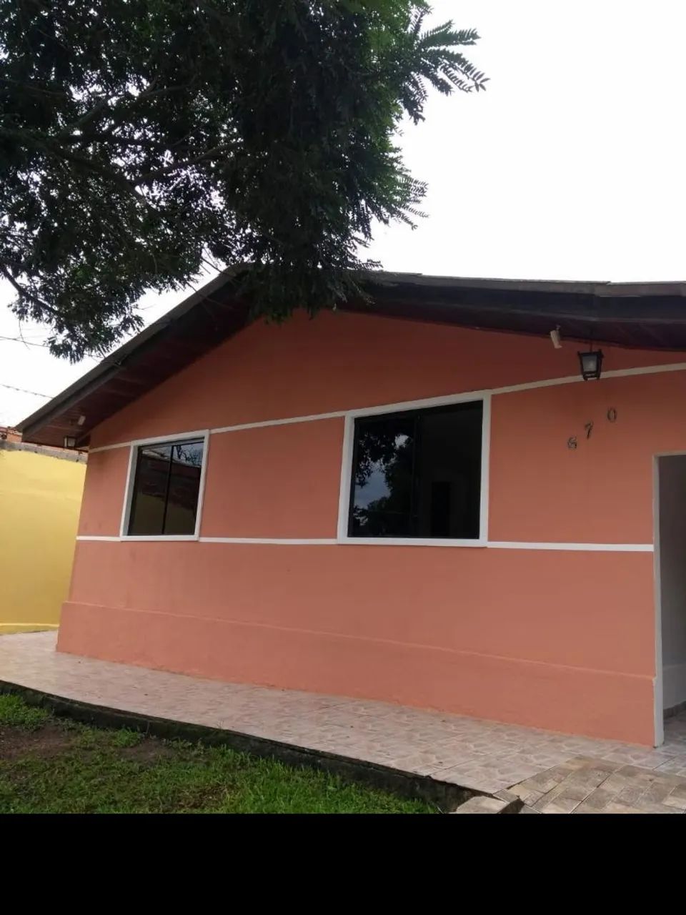 Foto - Araucária - Porto das Laranjeiras