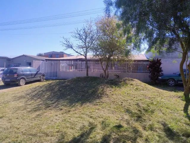 Foto - Araucária - Chapada