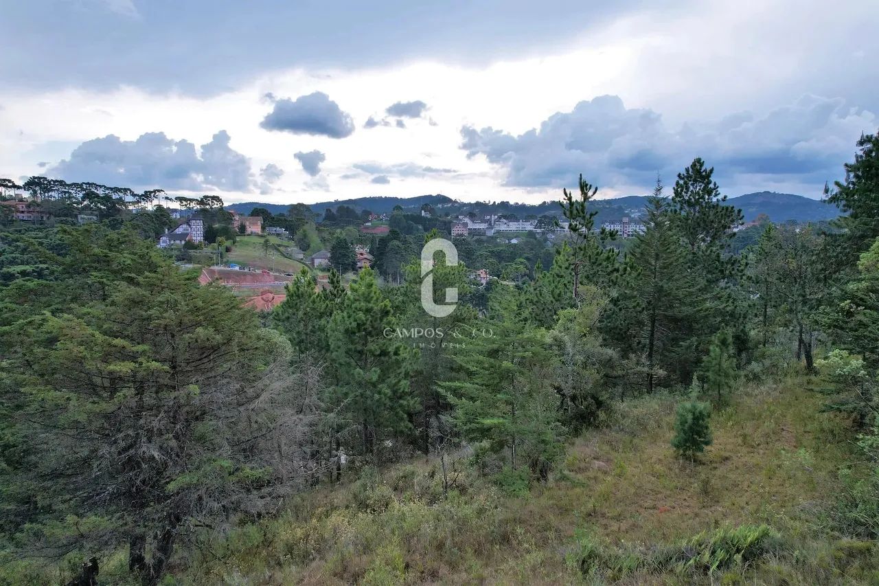 Área para incorporação à venda, 16.805 m², R$ 8.000.000,00, ao lado do Cantrinho do Capiva - Foto 3