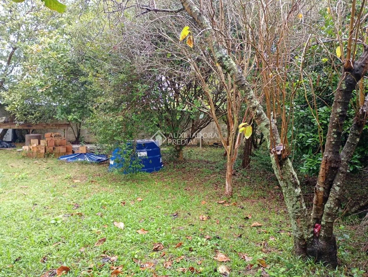 Terreno com Matrícula a venda no Ribeirão da Ilha - Foto 3