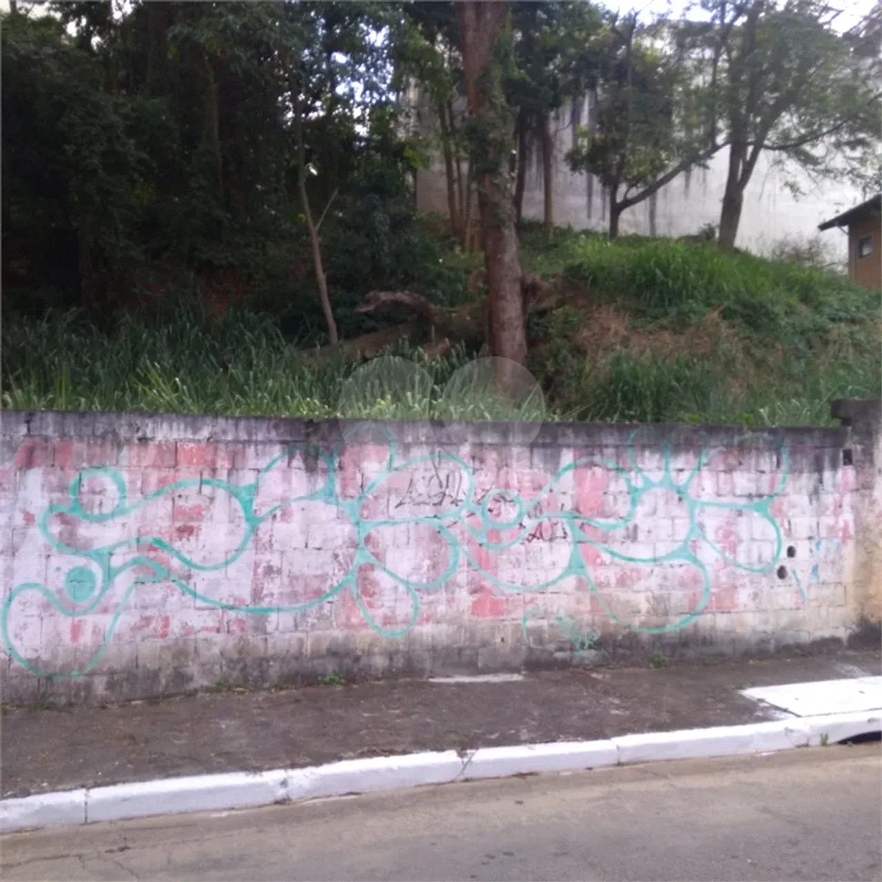 Terreno Jardim Bibi Oportunidade - Foto 2