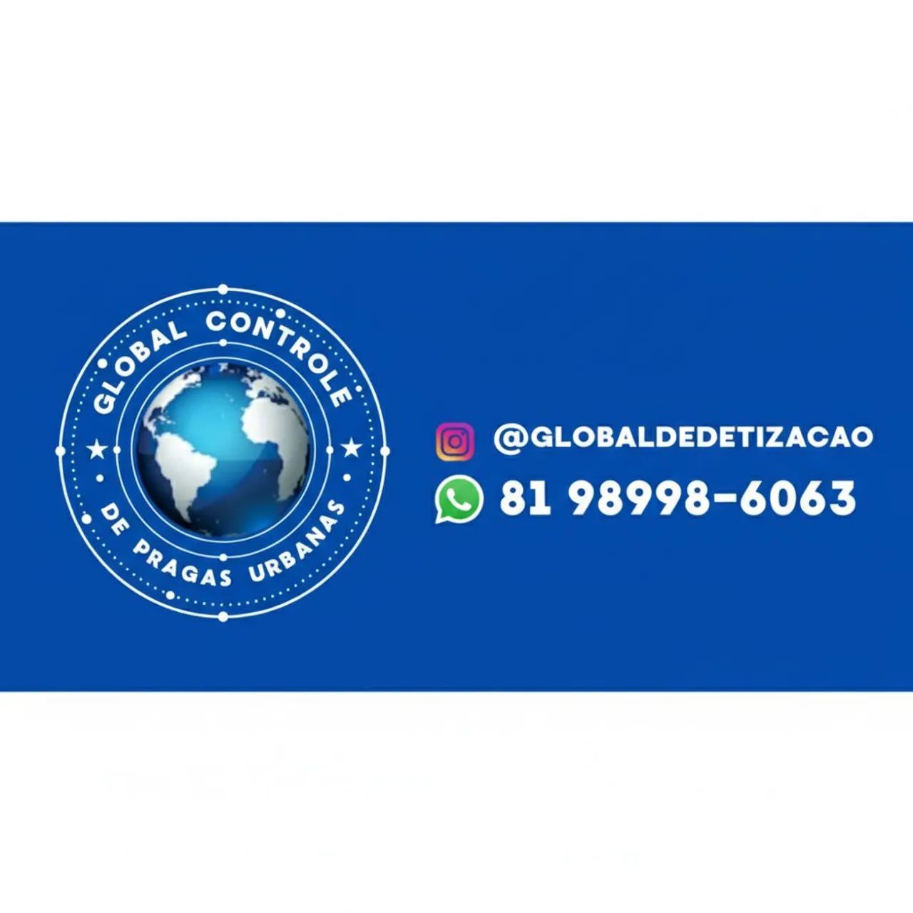 Dedetização recife 