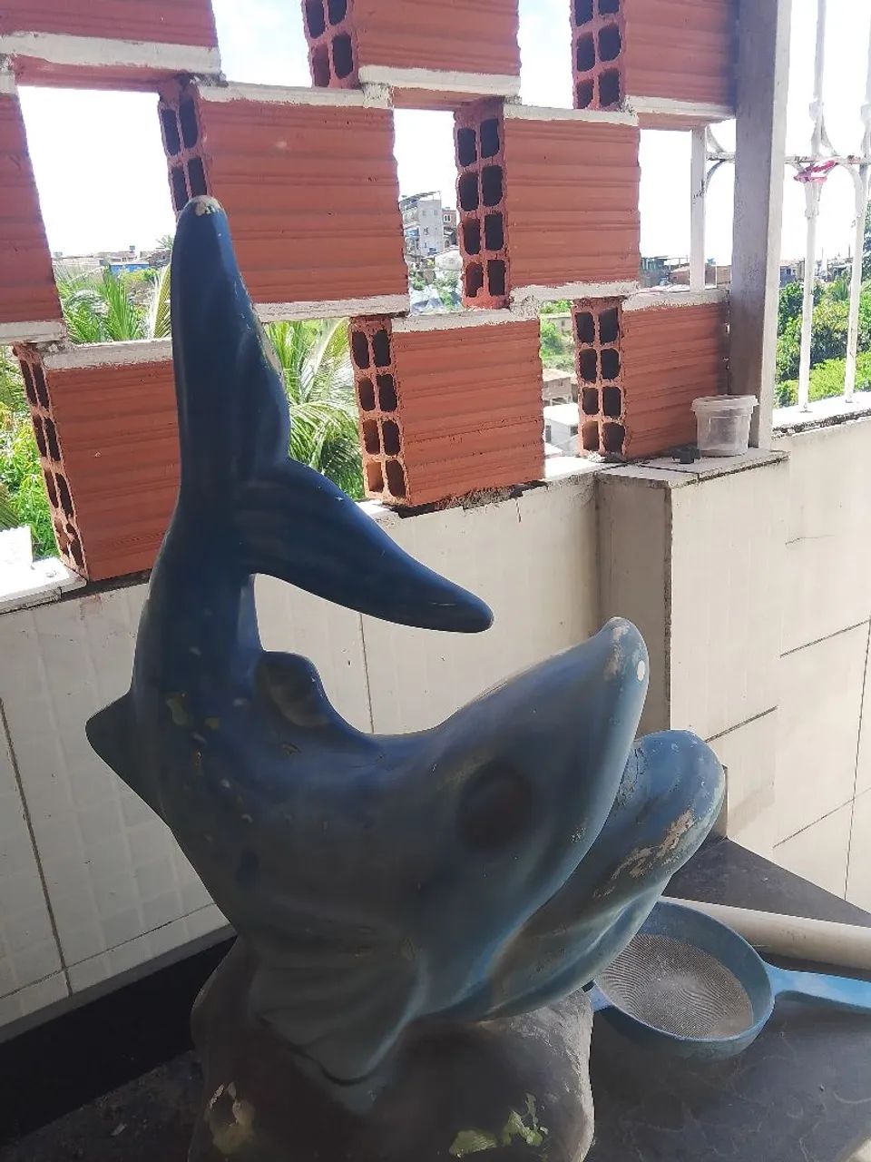 vendo uma escada de picina e um peixe casquata