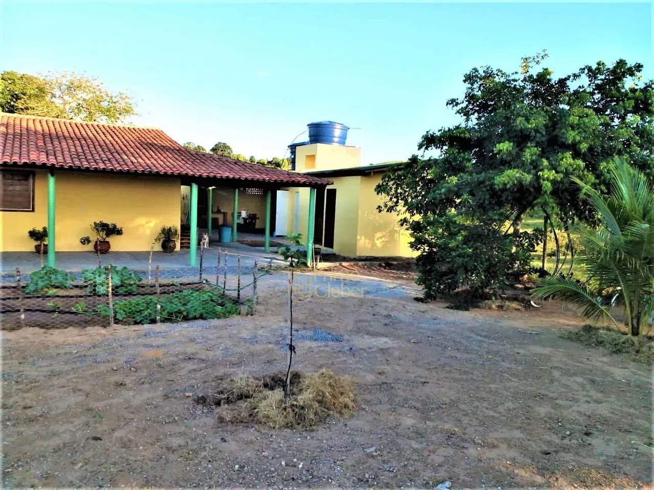Oportunidade, Sítio Á Venda em Viçosa, Alagoas - Foto 3