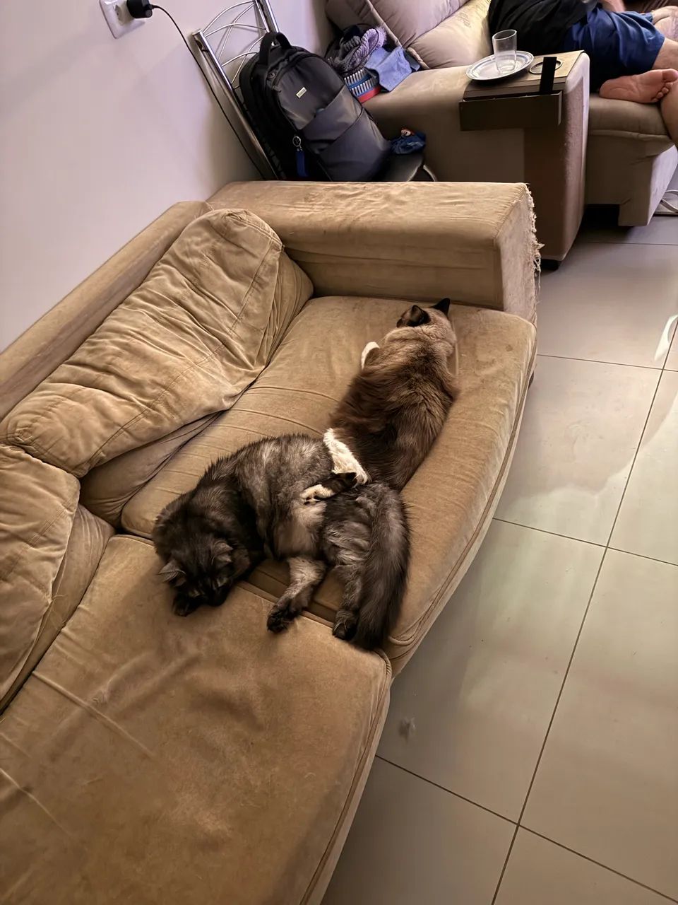 Sofá para reformar 