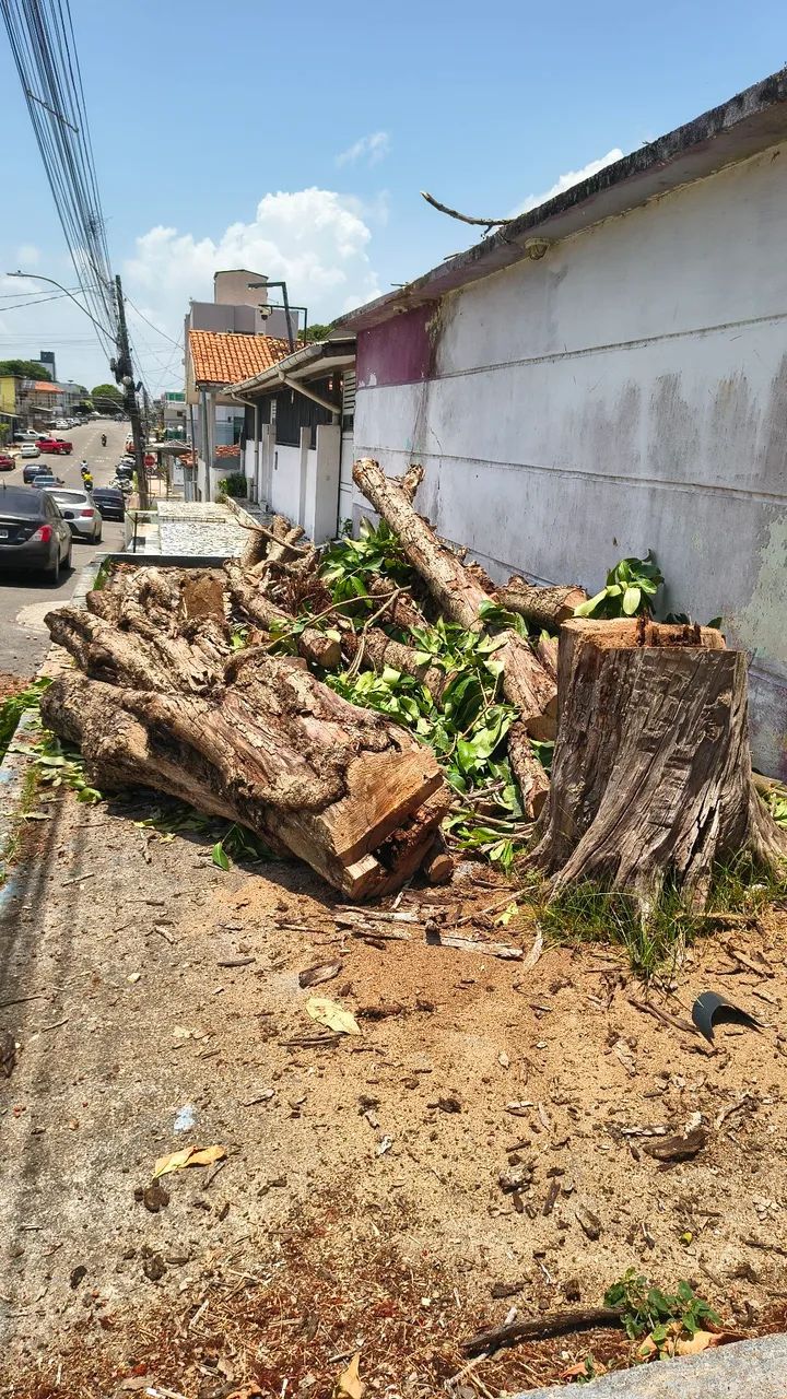 AZEVEDO ROÇAGEM & PODA - Limpeza de Terrenos - Foto 2